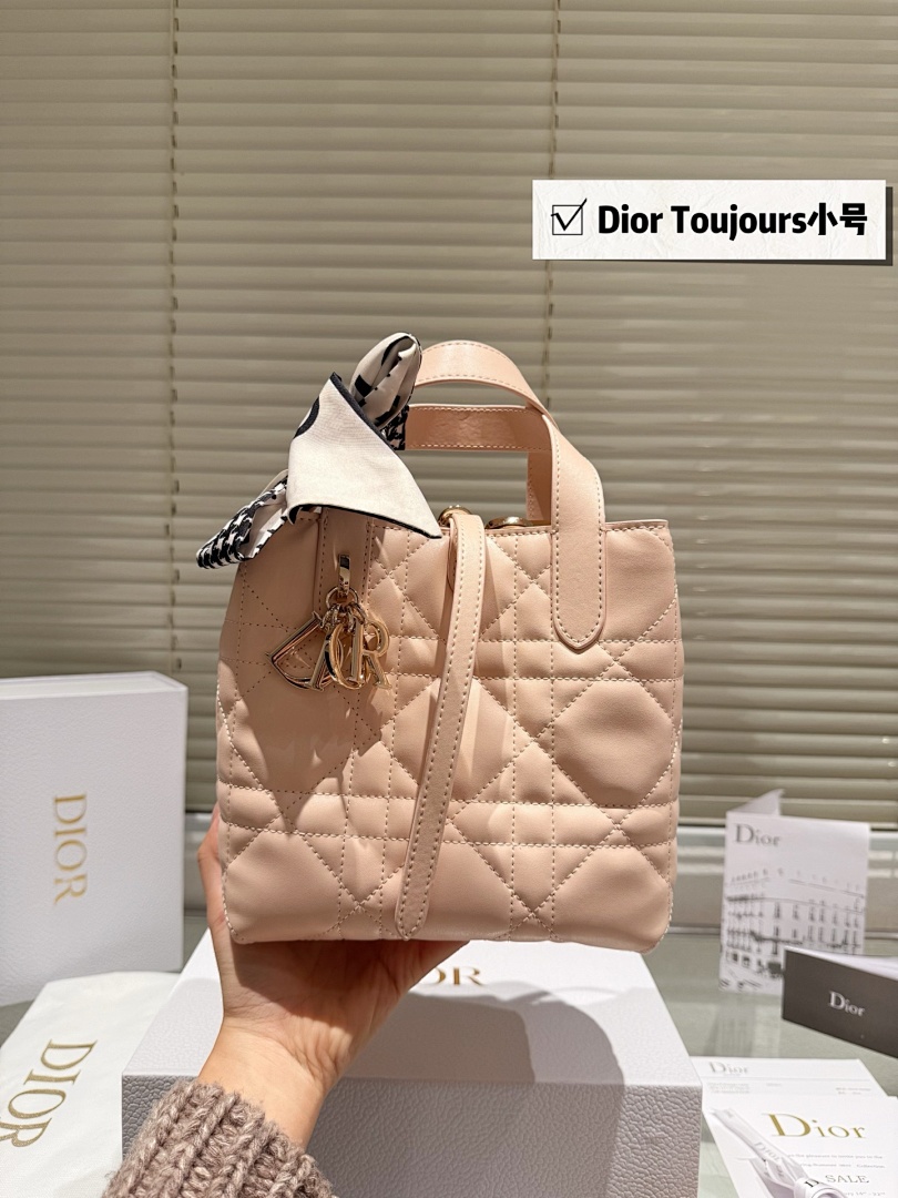 Dior Toujours Small Tote view