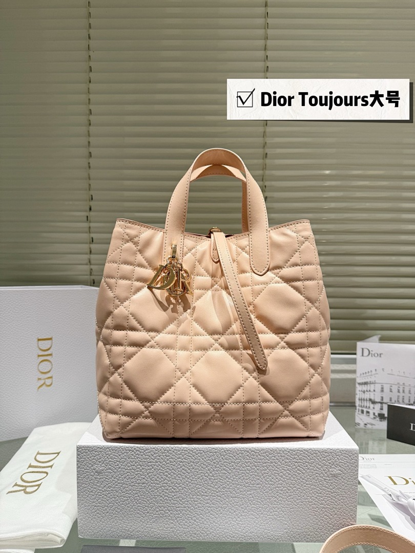Dior Toujours Large Tote view