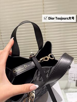 Dior Toujours Large Tote view 8