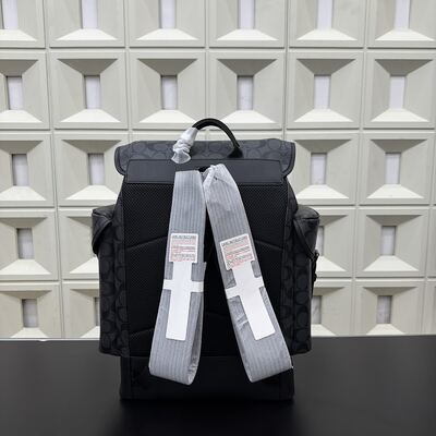 Coach Backpack view 7