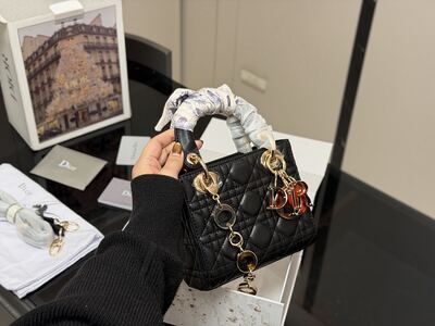 Dior Lady Dior Bag view 17