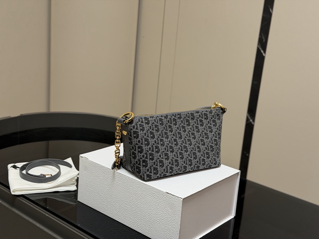Dior Saddle Bag view