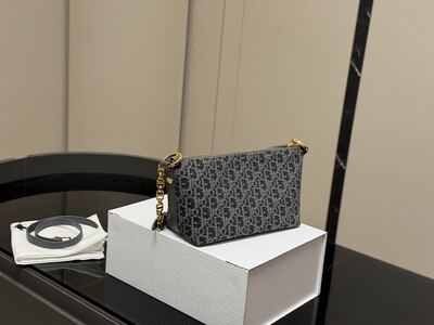 Dior Saddle Bag view 2