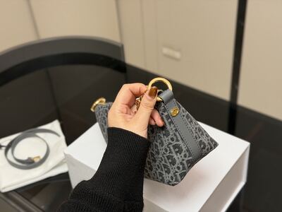 Dior Saddle Bag view 4