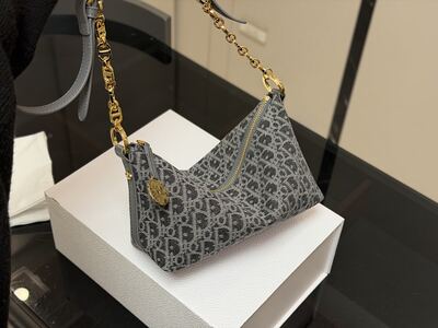 Dior Saddle Bag view 5