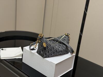 Dior Saddle Bag