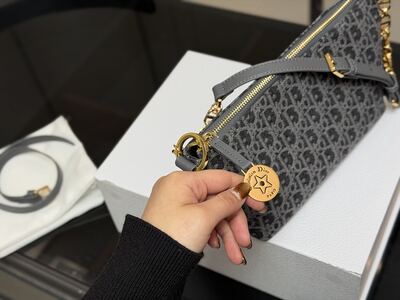 Dior Saddle Bag view 7