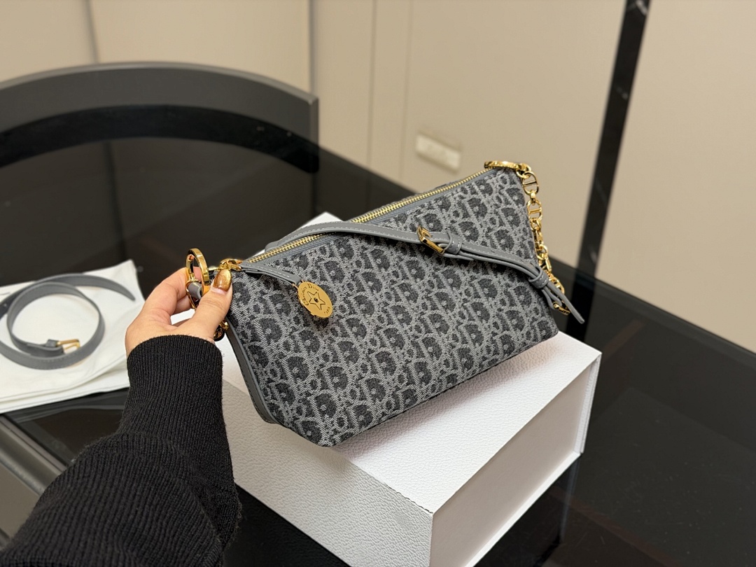Dior Saddle Bag view