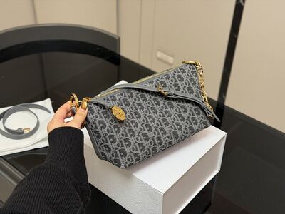 Dior Saddle Bag view 8
