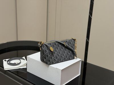 Dior Saddle Bag view 9