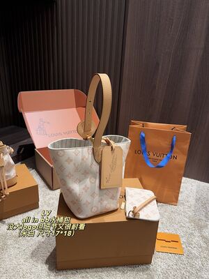 Louis Vuitton Noe Bucket view 6