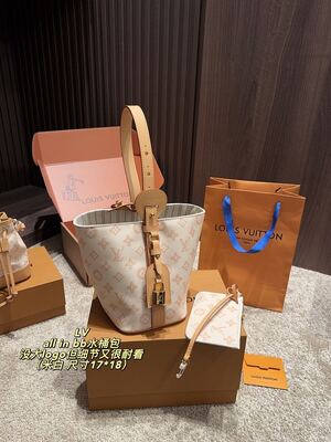 Louis Vuitton Noe Bucket view 9