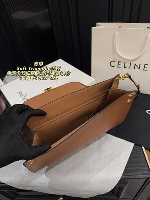 Celine Soft Triomphe Bag view 2