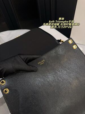 Celine Soft Triomphe Bag view 11