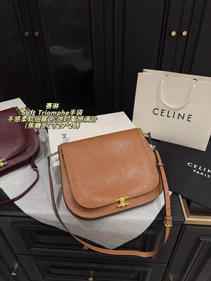 Celine Soft Triomphe Bag view 19