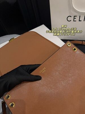 Celine Soft Triomphe Bag view 3