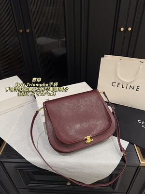 Celine Soft Triomphe Bag view 21