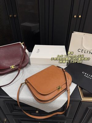 Celine Soft Triomphe Bag view 9
