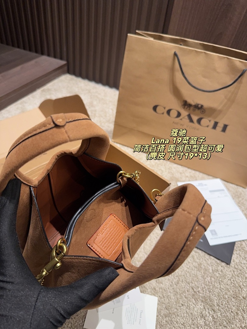 Coach Lana Hobo view