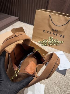 Coach Lana Hobo view 2