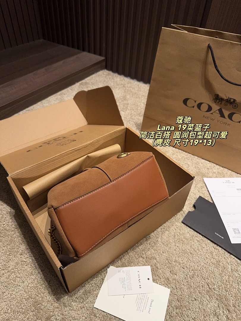 Coach Lana Hobo view