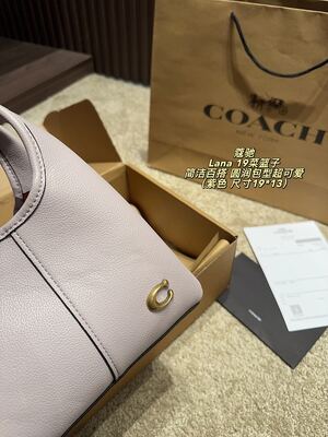 Coach Lana Hobo view 11