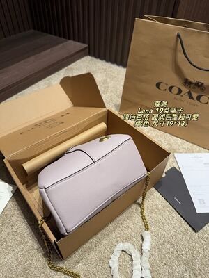 Coach Lana Hobo view 12