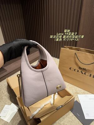 Coach Lana Hobo view 13