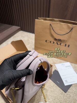 Coach Lana Hobo view 14
