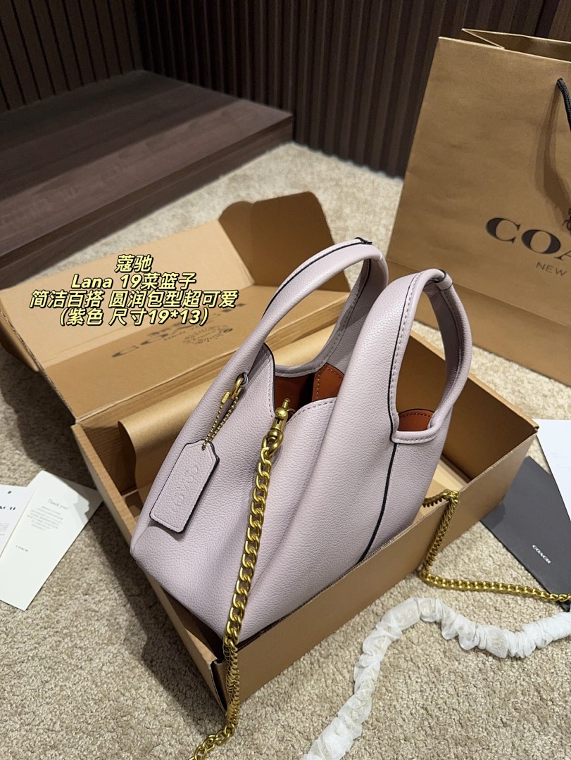 Coach Lana Hobo view