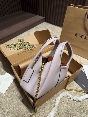 Coach Lana Hobo view 15