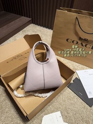 Coach Lana Hobo view 16
