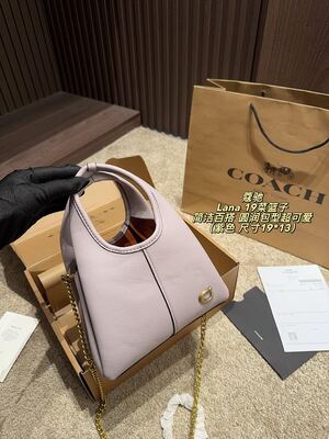 Coach Lana Hobo view 17