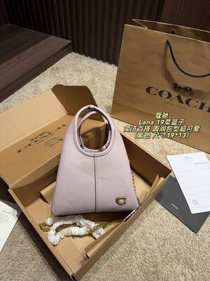 Coach Lana Hobo view 18