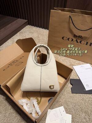 Coach Lana Hobo view 19