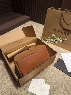 Coach Lana Hobo view 3