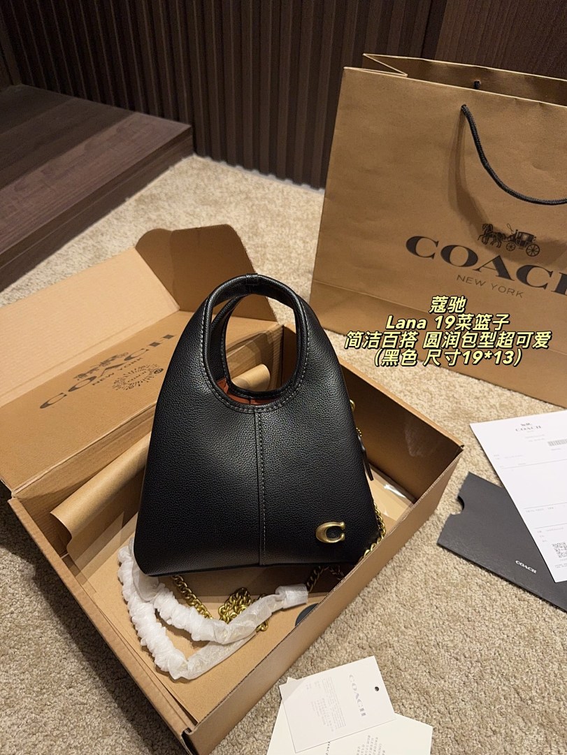 Coach Lana Hobo view