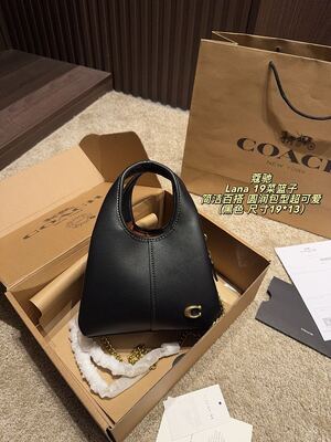 Coach Lana Hobo view 21
