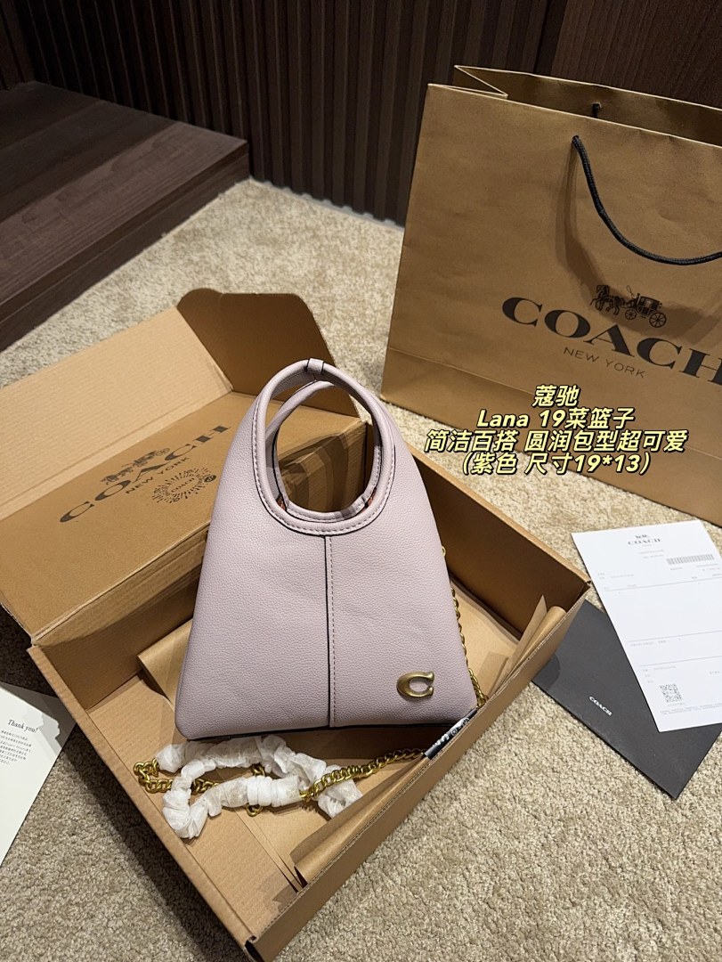Coach Lana Hobo view