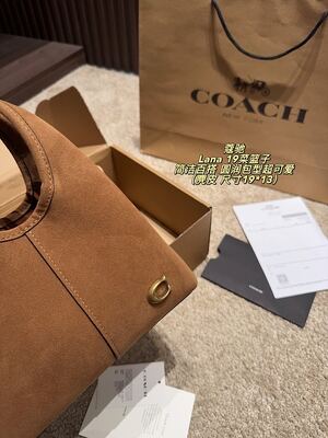 Coach Lana Hobo view 4