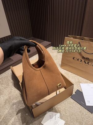 Coach Lana Hobo