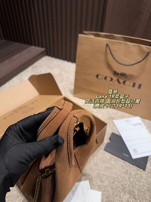 Coach Lana Hobo view 5