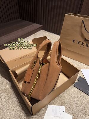 Coach Lana Hobo view 6