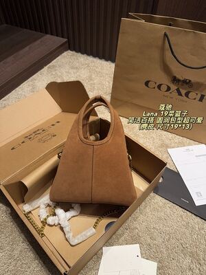 Coach Lana Hobo view 7