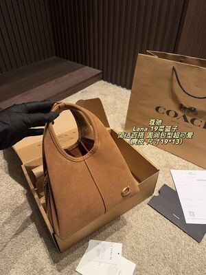 Coach Lana Hobo view 8