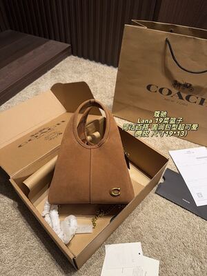 Coach Lana Hobo view 9