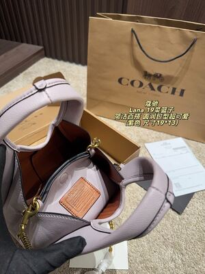 Coach Lana Hobo view 10
