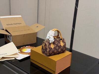 Louis Vuitton Speedy view 12