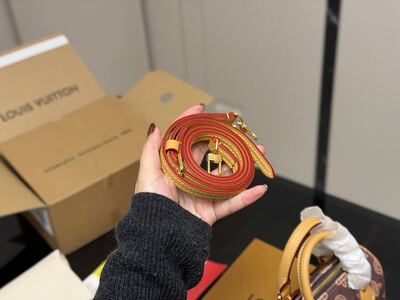 Louis Vuitton Speedy view 16