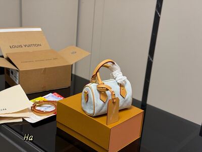 Louis Vuitton Speedy view 19